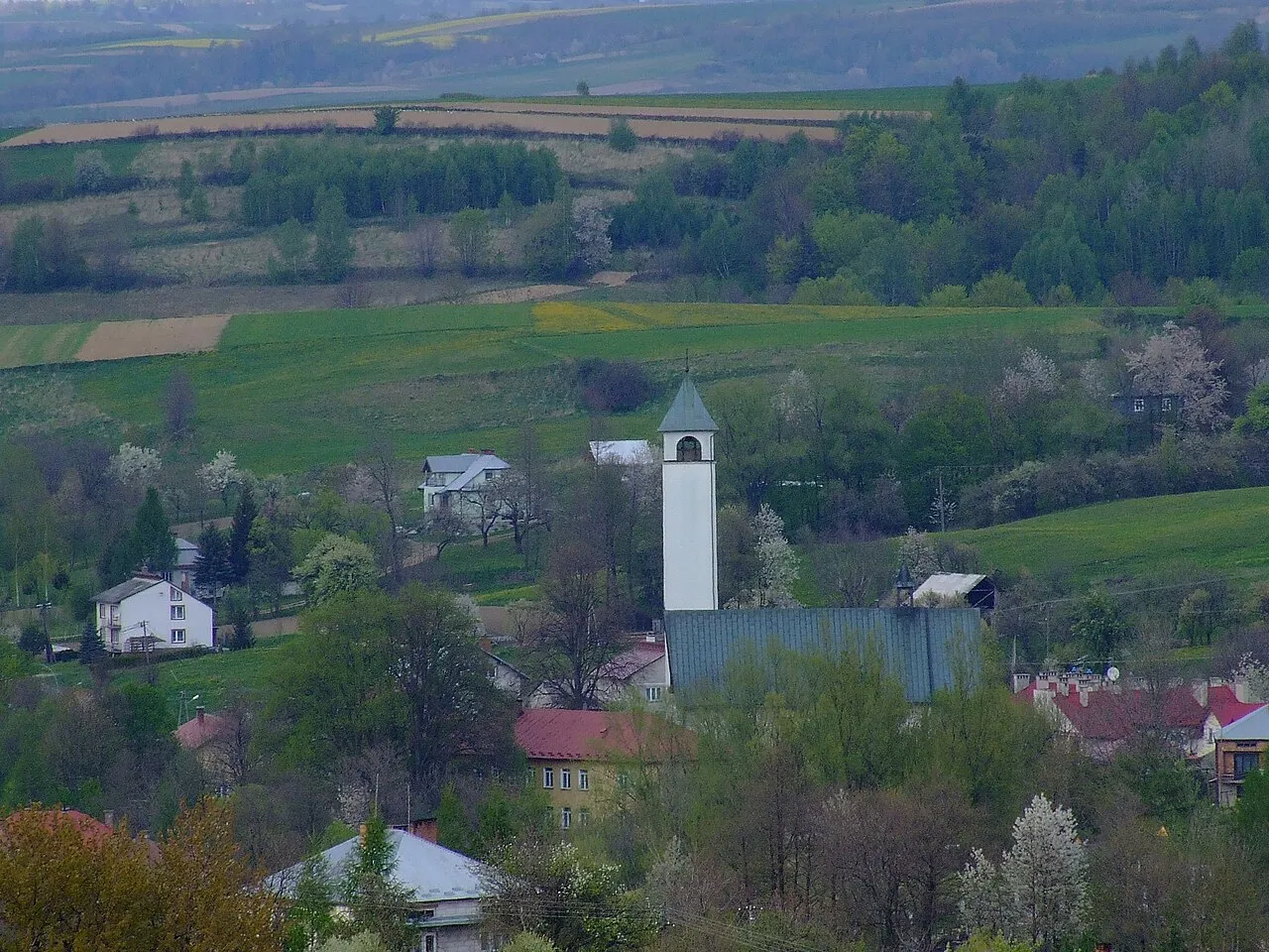 Kościół - Parafia MB Szkaplerznej